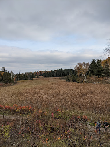 Photo of Laurier Woods Conservation Area - Brule St, North Bay, ON P1A 3Z5